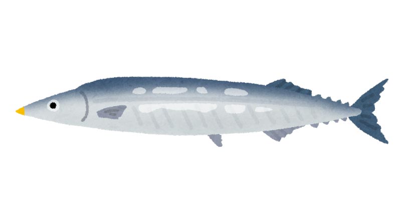 秋刀魚（サンマ）