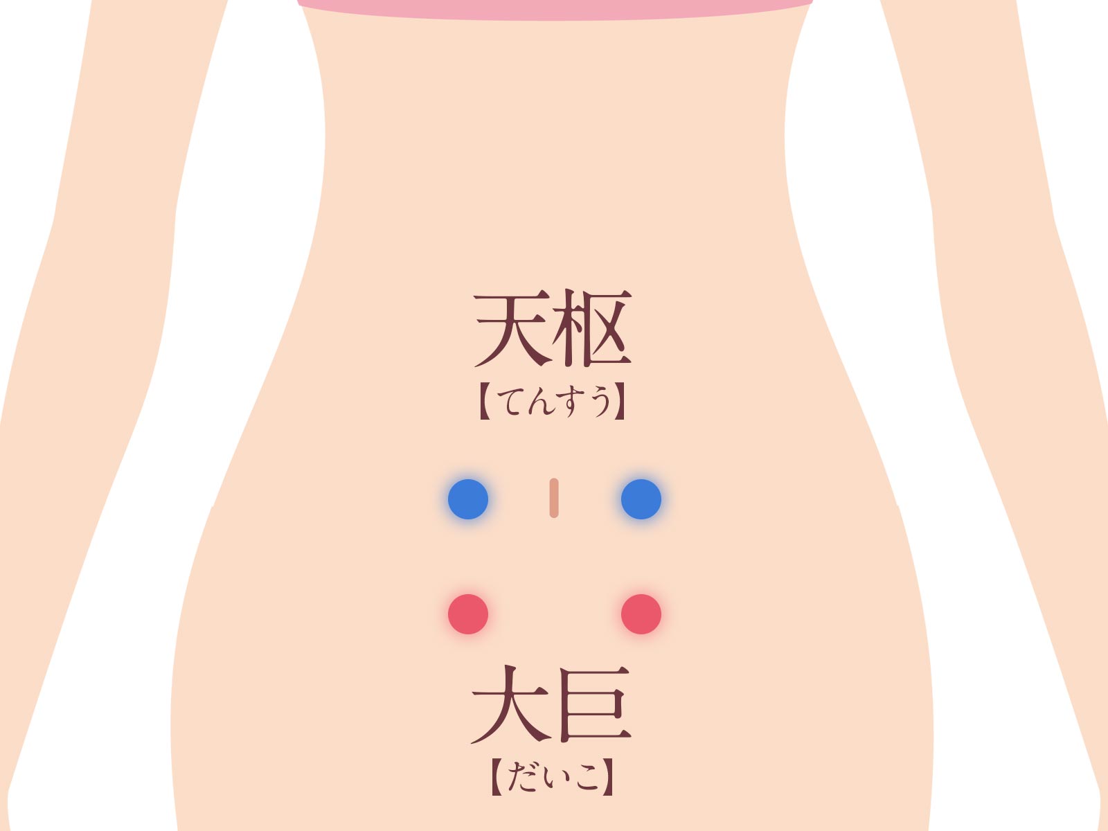 腸内環境を整える“ツボ”＜大巨(だいこ)、天枢(てんすう)＞