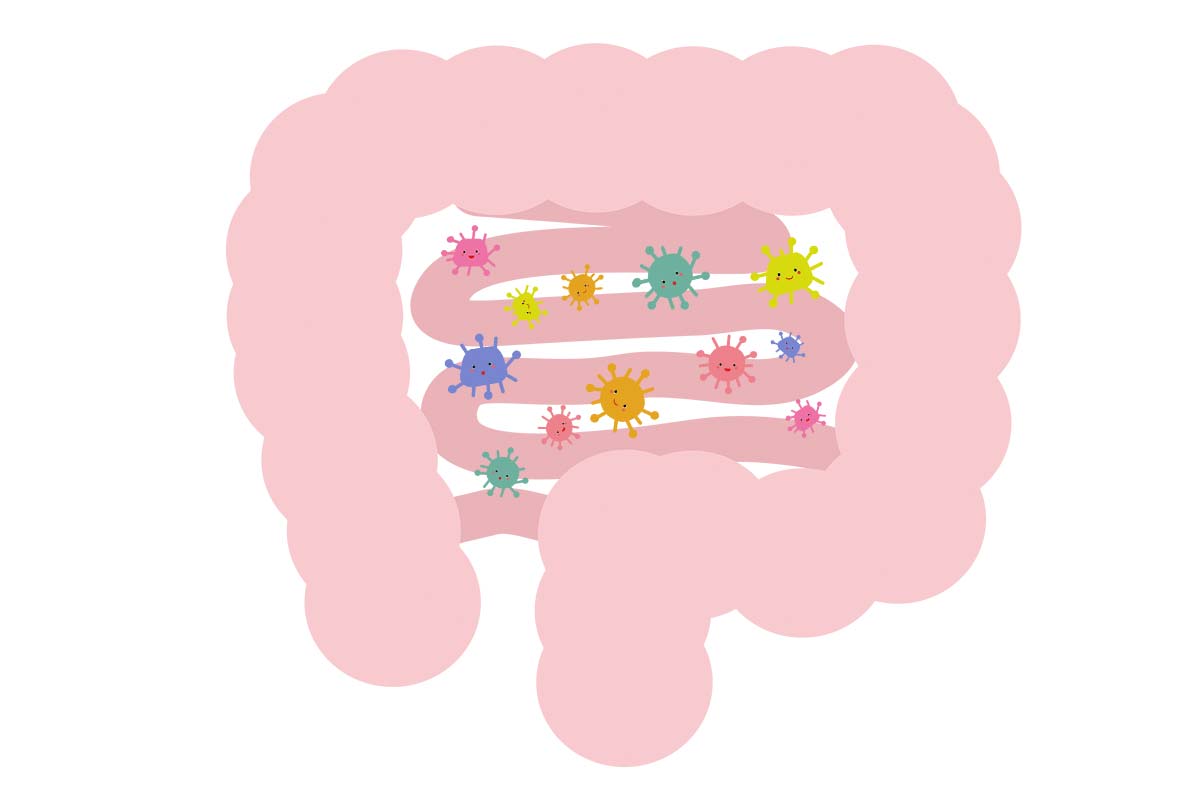 大腸にあるはずの菌が小腸内で増加中！？