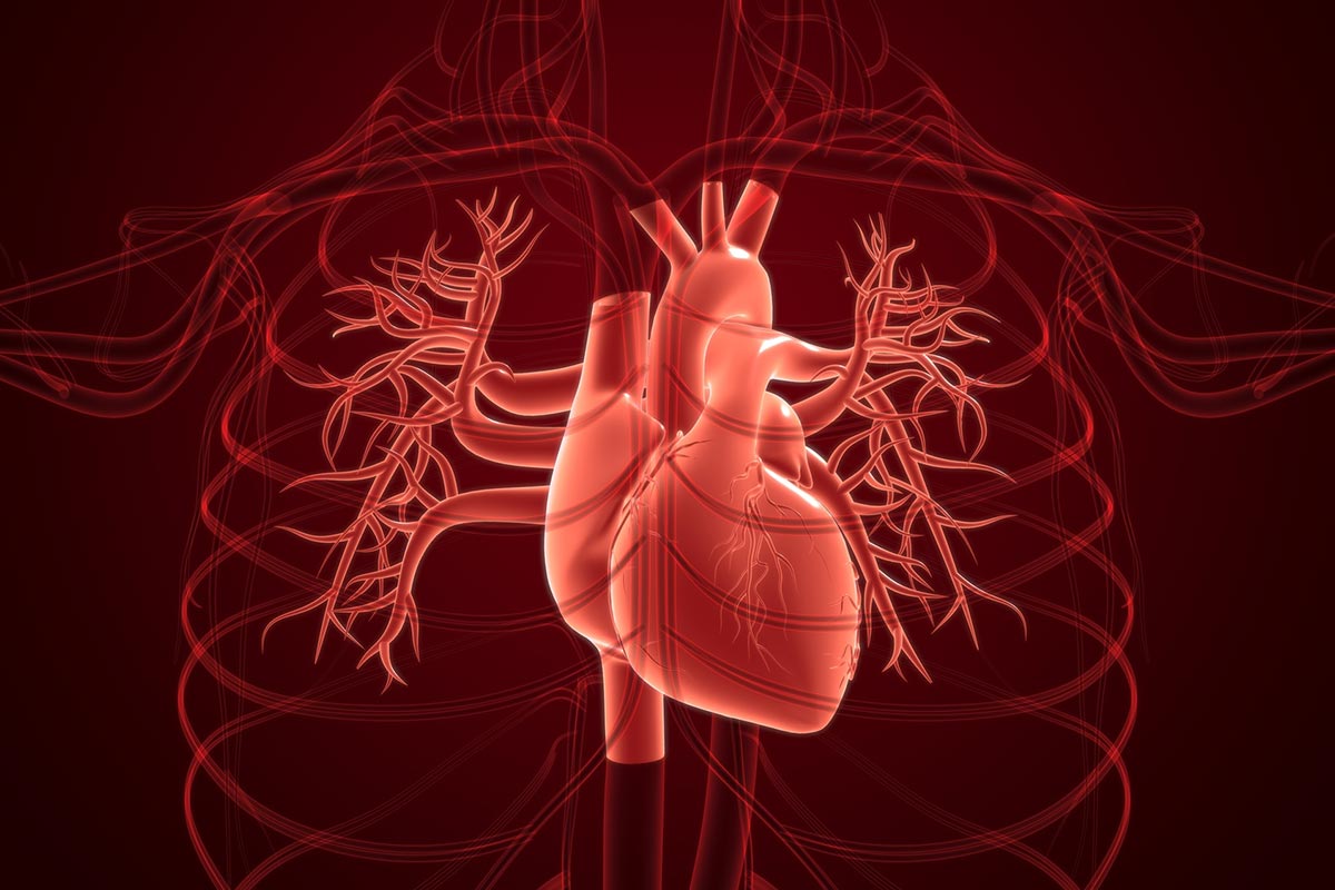 動悸が起こる心臓の病気の種類と対応