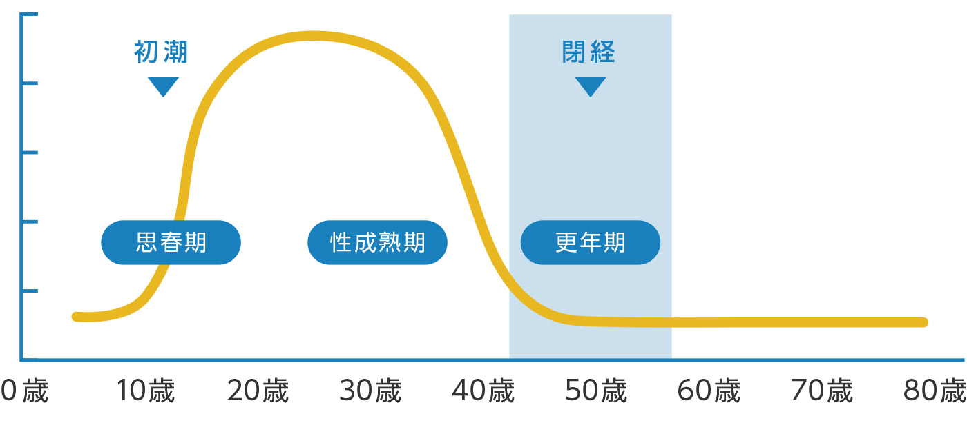 エストロゲン量の変化